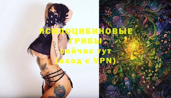 прущие грибы Медногорск