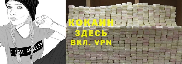 прущие грибы Медногорск