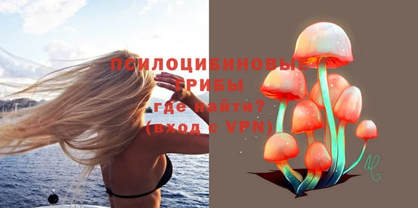 спайс Мегион