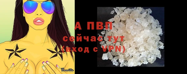 прущие грибы Медногорск