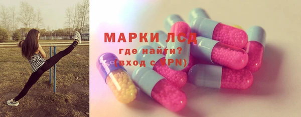 прущие грибы Медногорск