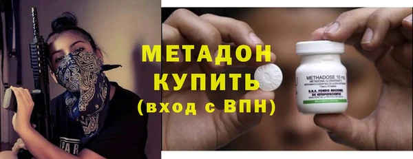 прущие грибы Медногорск