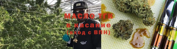 прущие грибы Медногорск