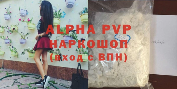 прущие грибы Медногорск