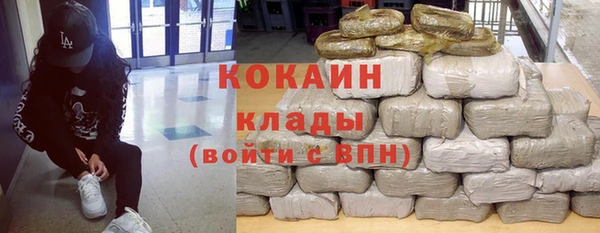 прущие грибы Медногорск